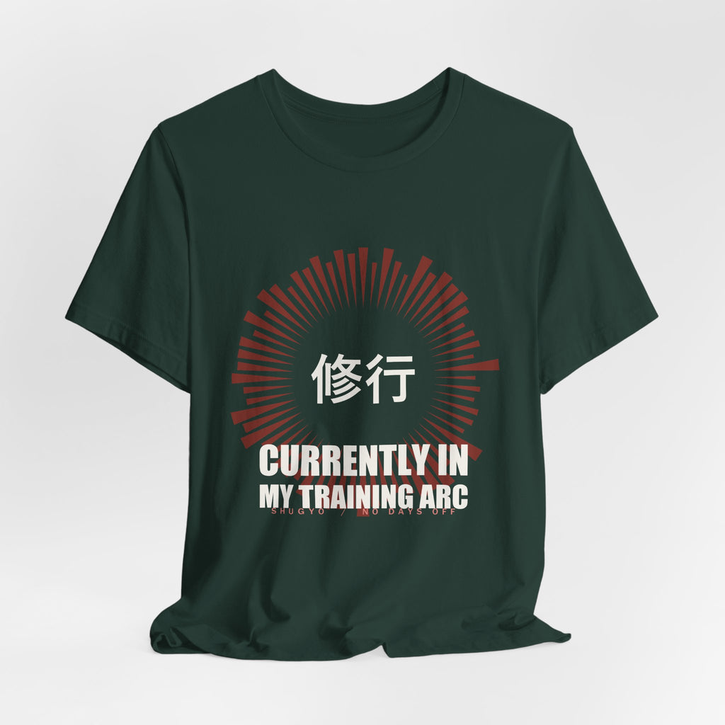 Training Arc Anime T-Shirt - original anime design, view 13