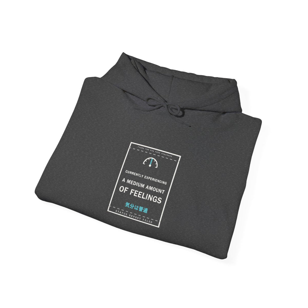 Currently Experiencing A Medium Amount Of Feelings Funny Anime Hoodie - original anime design, view 15
