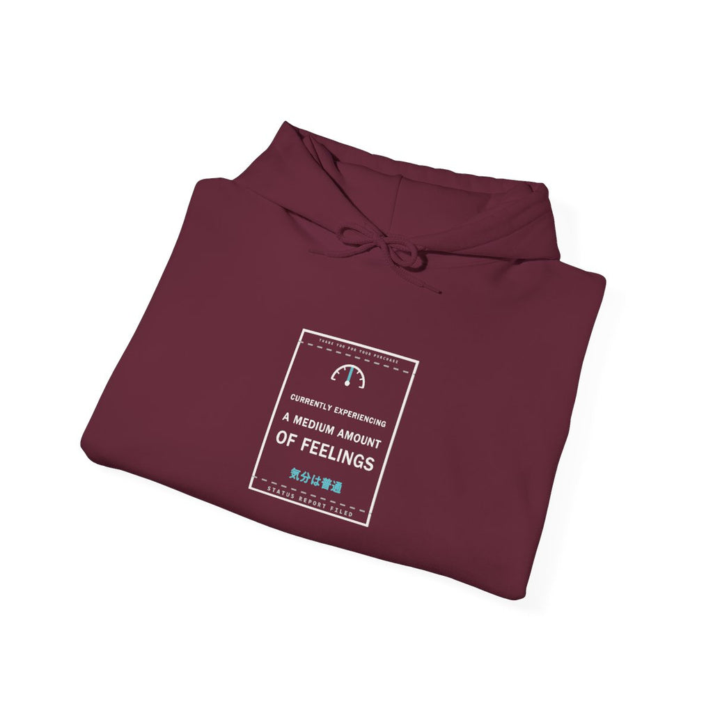 Currently Experiencing A Medium Amount Of Feelings Funny Anime Hoodie - original anime design, view 6