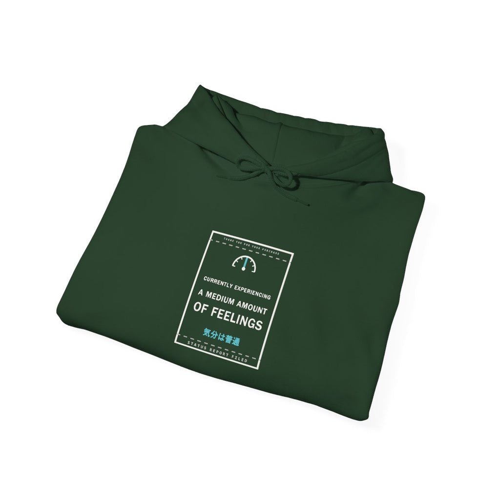 Currently Experiencing A Medium Amount Of Feelings Funny Anime Hoodie - original anime design, view 12
