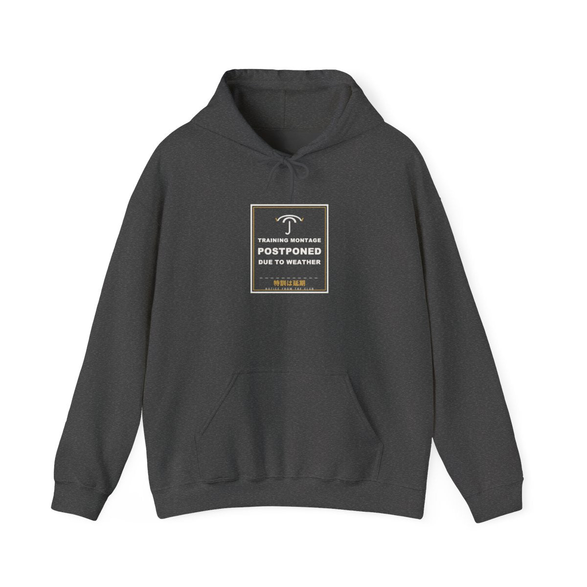 Training Montage Postponed Due To Weather Funny Anime Hoodie in Dark Heather